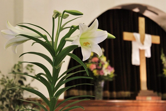 Free Lily Cross photo and picture