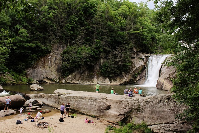 Free Waterfall Swimming photo and picture