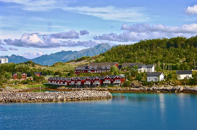 Free norway fjord wooden houses illustration