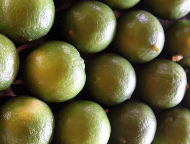 Free Lemons Nature photo and picture