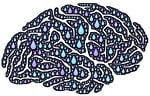 brain, drops, mind