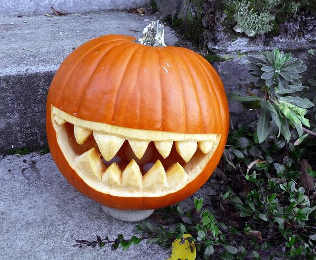 Kürbis, Grinsen, Grinsend, Halloween