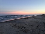 beach, texas coast, seashore