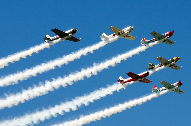 Free Airplane Sky photo and picture