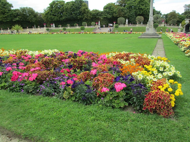 Free Flower Bed Flora photo and picture