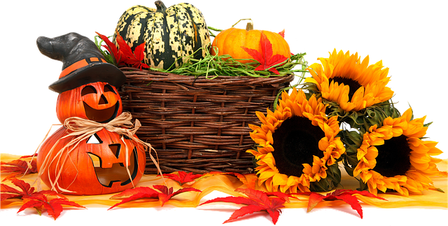 Free pumpkins flowers basket illustration