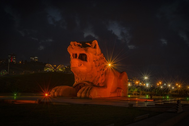 Free Lion Samsun photo and picture