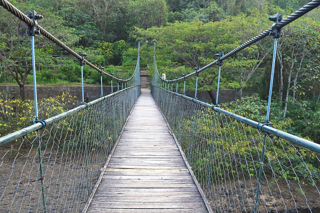 Free Bridge Hanging Wooden Bridge photo and picture