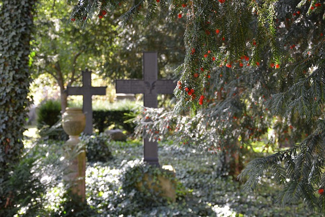 Free Farewell Graveyard photo and picture