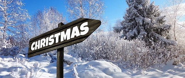 Weihnachten, Wegweiser, Holz, Natur