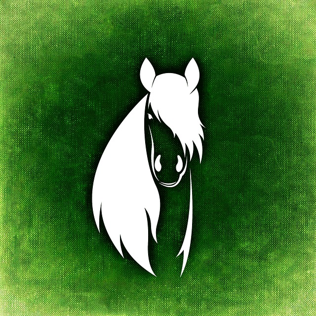 Free horse abstract mane illustration