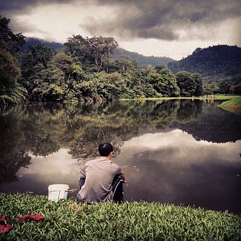 Free Nature Taiping photo and picture