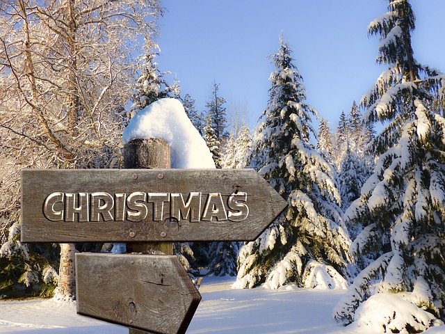 Weihnachten, Wegweiser, Holz, Wald