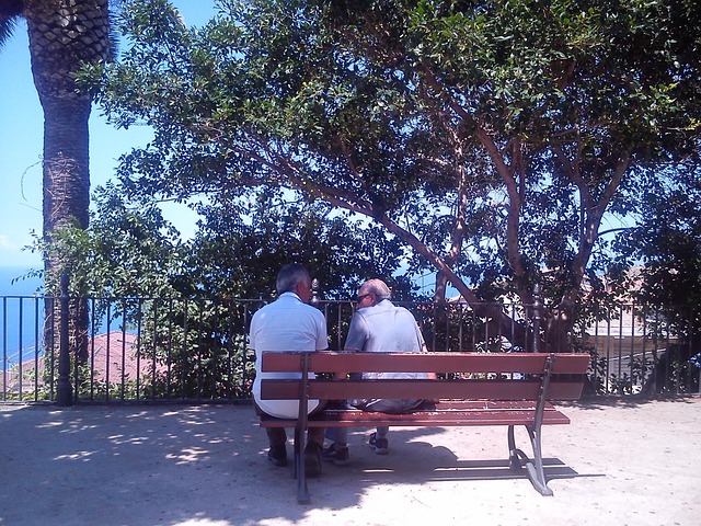 Free Friendship Panorama photo and picture