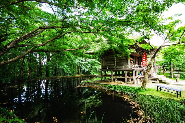 Mystisk, Mountain, Japan, Natur, Natur