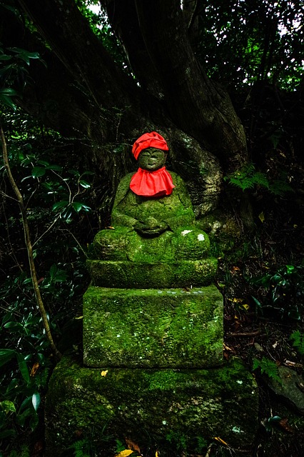Mystisk, Mountain, Japan, Natur, Lys