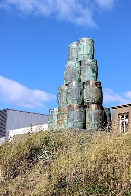 Sculptura, Butoaie, Tone, Scheveningen