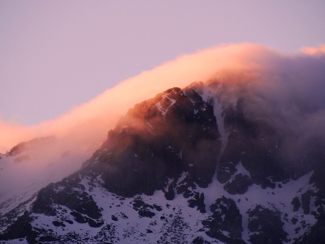 Free Malicious In Pink Sunset photo and picture