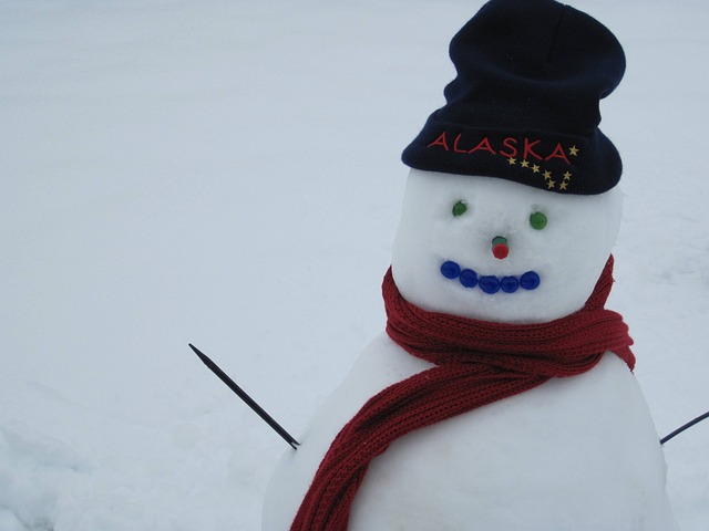 Free Snow Snowman photo and picture