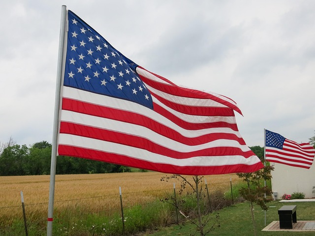 Free Flag Usa photo and picture