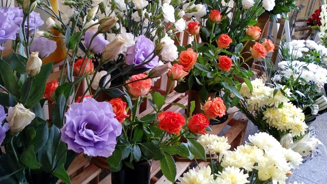 Free Flower Shop Flower photo and picture