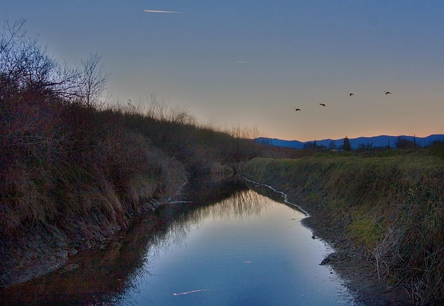 Free Canal Reflection photo and picture