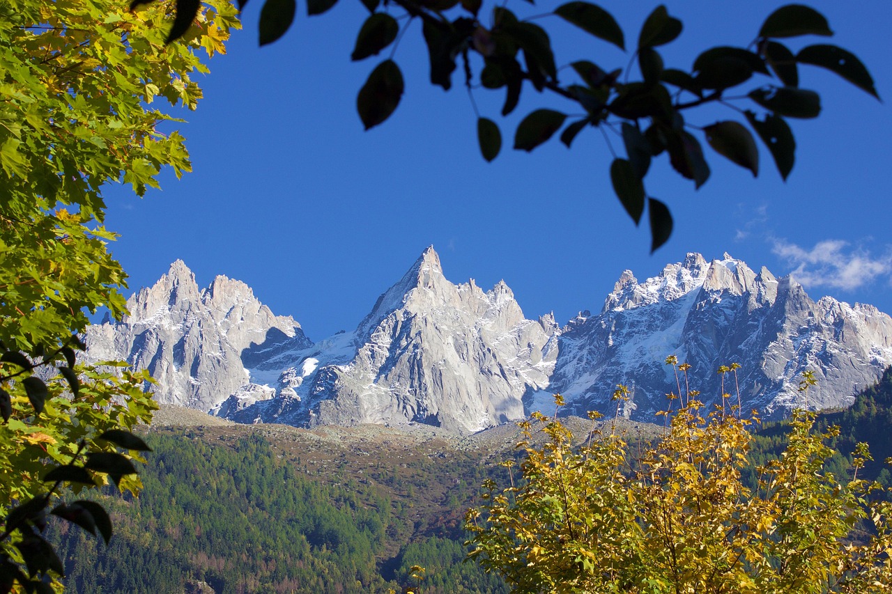 Autumn - free online jigsaw puzzle photo