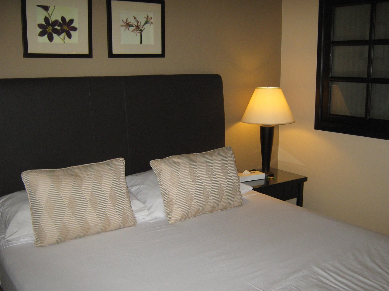 Free Room Hotel photo and picture