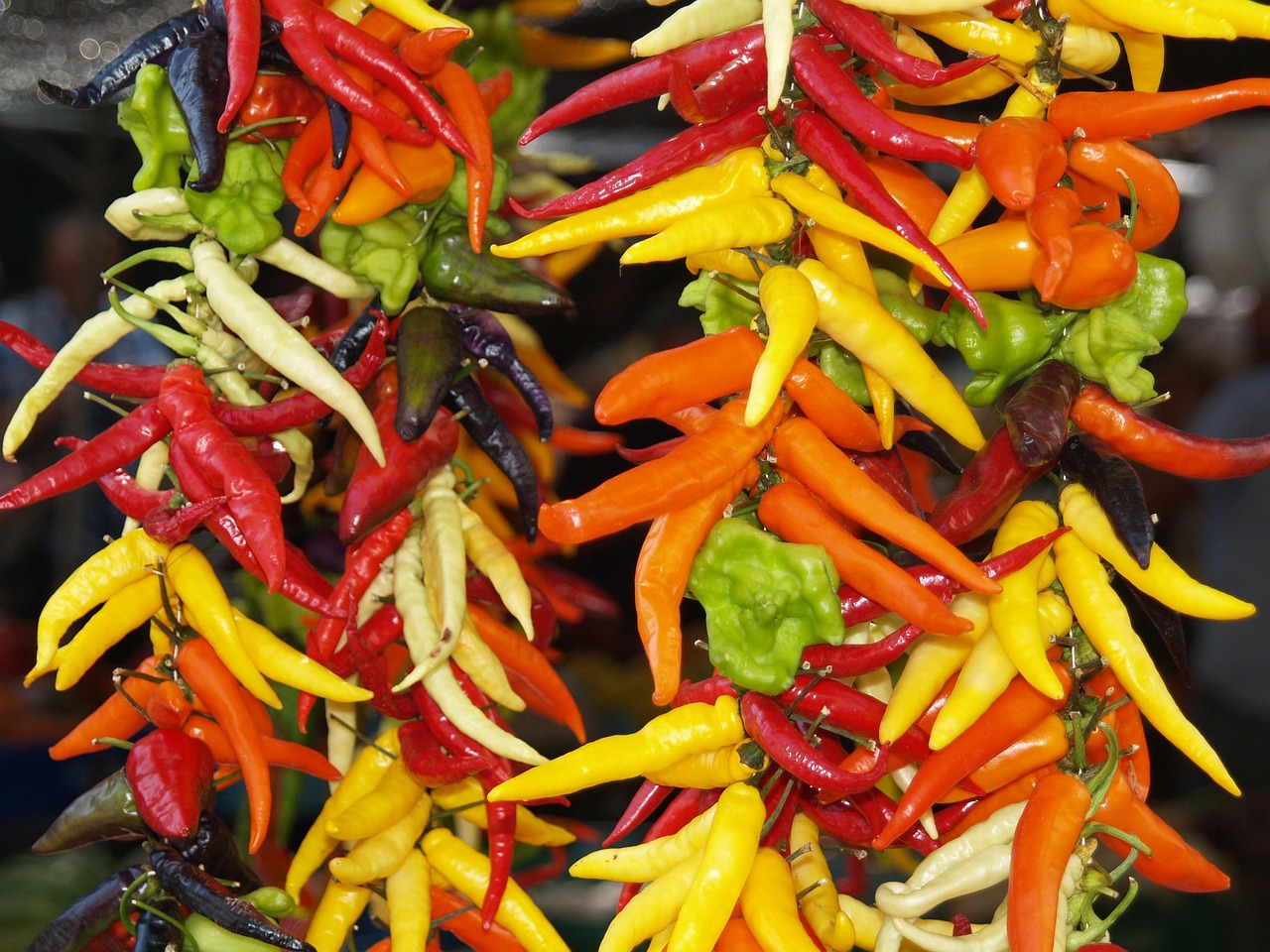 Thanksgiving - free online jigsaw puzzle photo