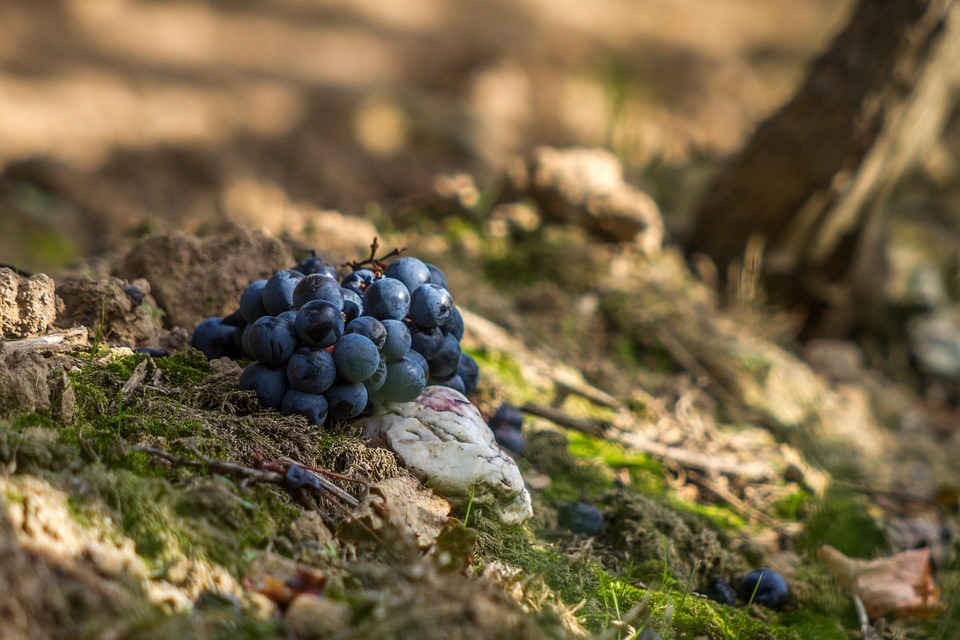 Severe Storm Forecast for Northwestern US: Flooding and Heavy Snow Expected - News Directory 3