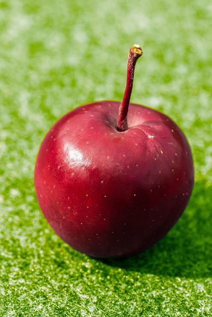 Free Apple Red photo and picture