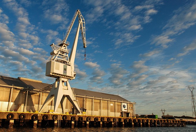 Free Crane Nature photo and picture