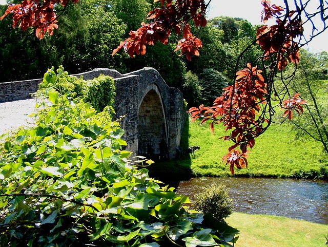 Free Scotland Ayrshire photo and picture