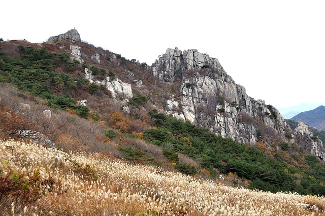 건보료 정산 관련 이미지 - 금정산, 산, 가을