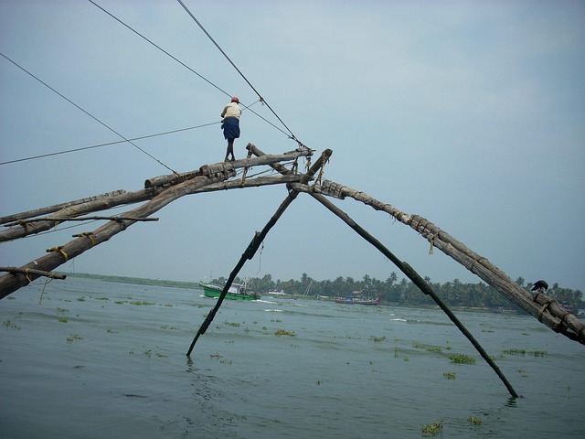 Free Kochi Fishing photo and picture