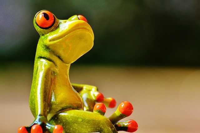 Free Frog Figure photo and picture
