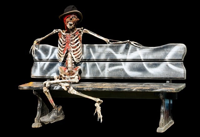 Download free HD stock image of Skeleton Halloween Free skeleton halloween gruesome illustration