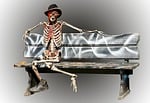 skeleton, helloween, halloween