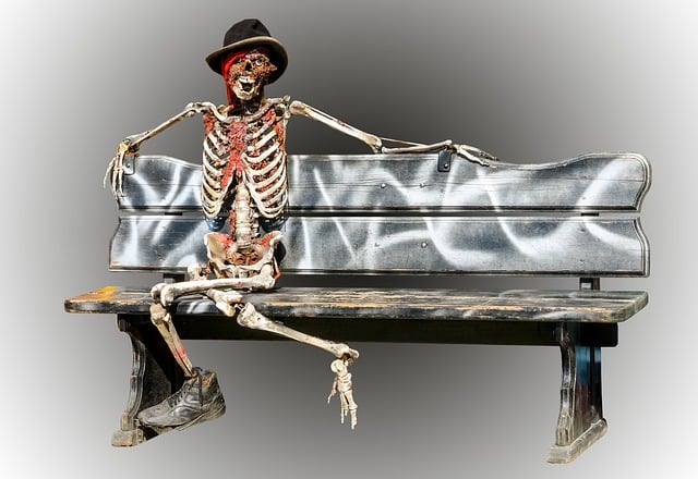 Download free HD stock image of Skeleton Halloween Free skeleton halloween gruesome illustration