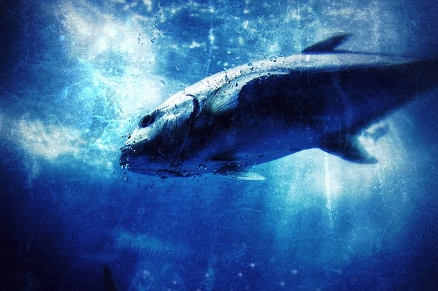 Free fish blue water illustration