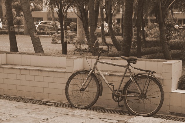 Fahrrad, Kindheit, Fahrt, Kreislauf