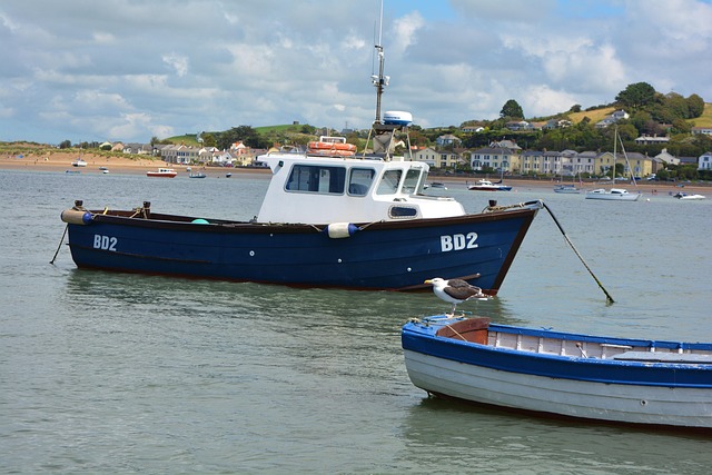 Free Sea Boats photo and picture