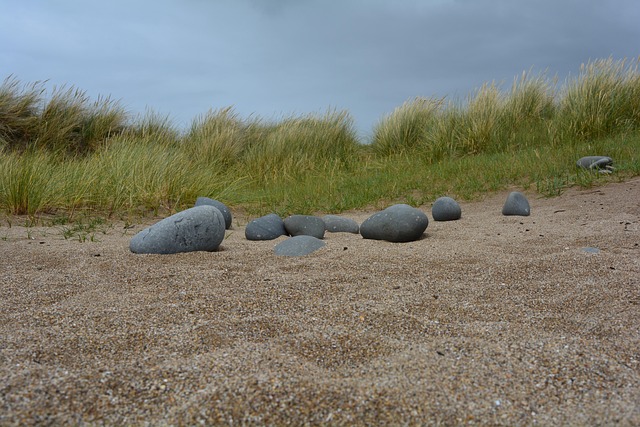 Free Beach Stones photo and picture