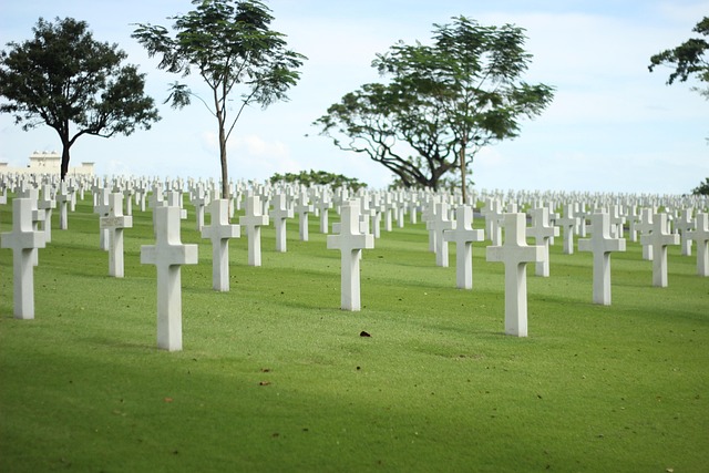 Free Military War photo and picture