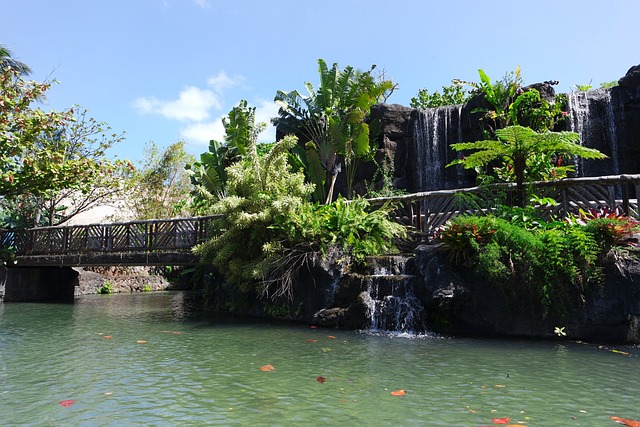 Free Hawaii Tropics photo and picture