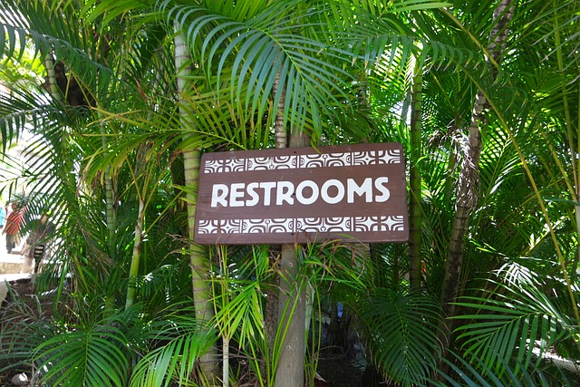 Free Hawaii Tropics photo and picture