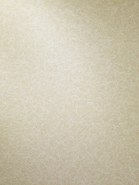 Download free HD stock image of Wall Texture Free wall texture wallpaper illustration