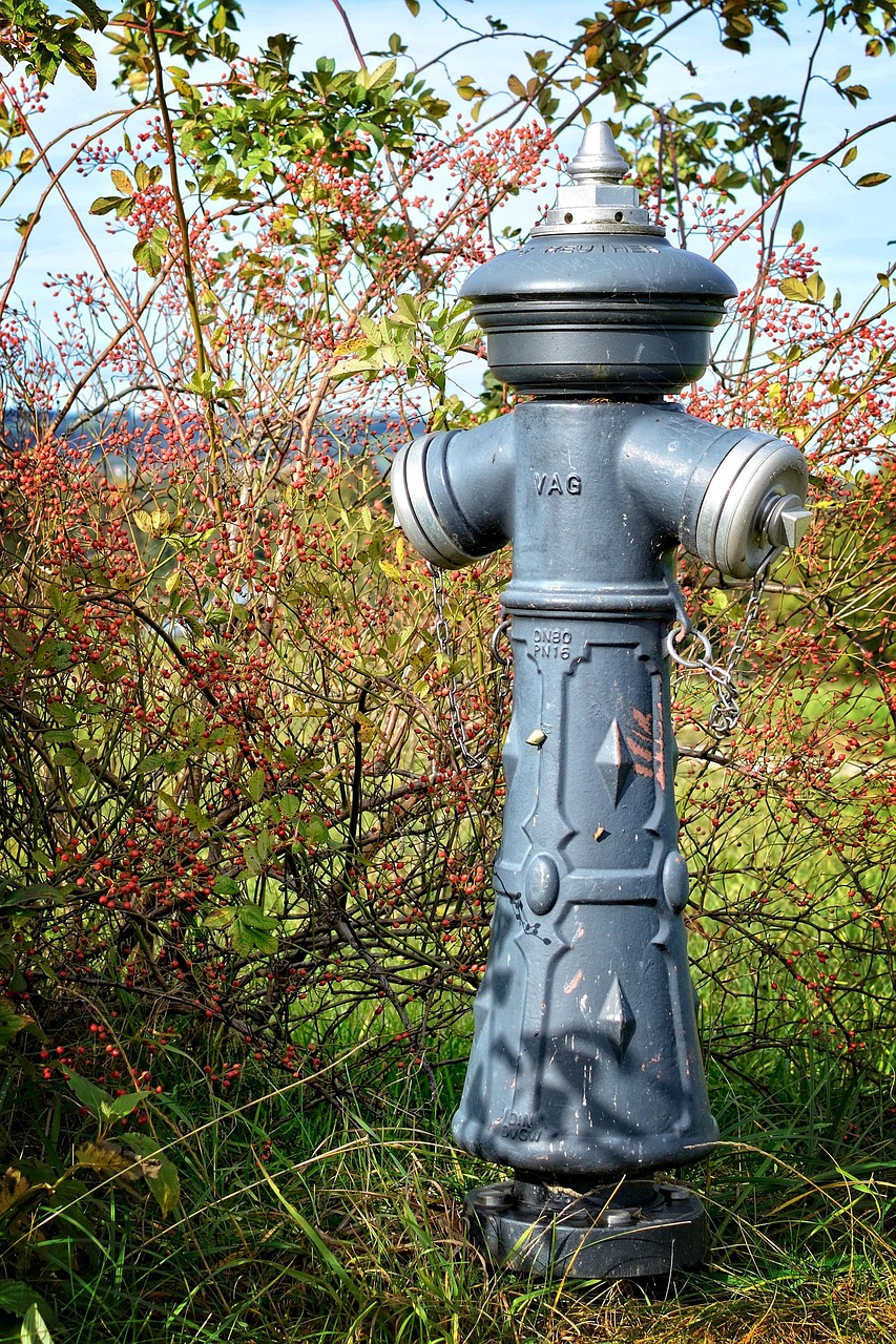 Download free HD stock image of Hydrant Water Free Hydrant Water photo and picture