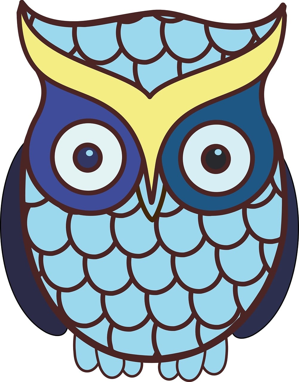 Burung Hewan Terbang Gambar Gratis Di Pixabay Burung Hewan Terbang Gambar Gratis Di Pixabay