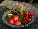 autumn arrangement, decoration, moss